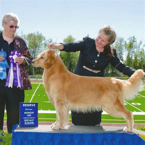 Whiskey creek goldens  box 1064 Scappoose Or, 97056 I have a friend who is looking for a golden retriever puppy